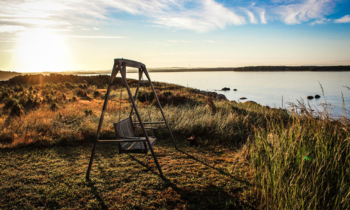 在线DDOS攻击平台