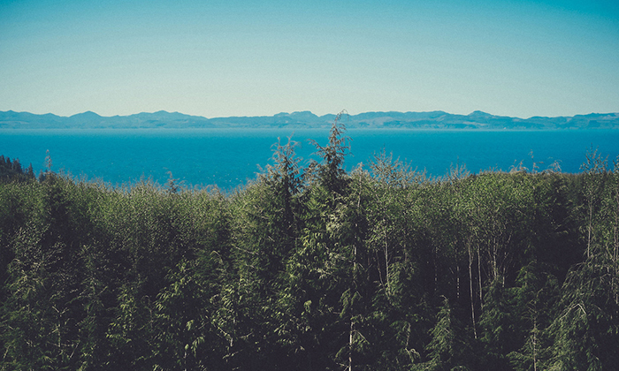 永不封停的Web漏洞扫描工具