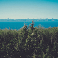 平台在线ddos压力测试