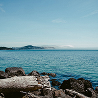 快速上手简单的网站ddos